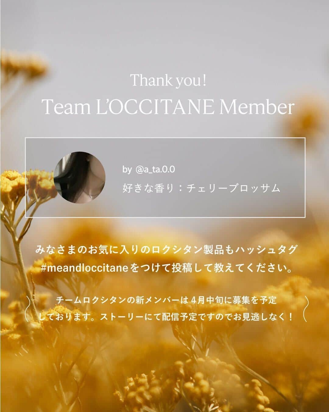 L'OCCITANE en Provenceさんのインスタグラム写真 - (L'OCCITANE en ProvenceInstagram)「＼特別企画📢／愛用アイテムとそれにまつわるエピソードを語る「私とロクシタンの物語」  ロクシタンジャポン公式Instagram ファンコミュニティ「チームロクシタン」  そのメンバーのみなさんに愛用アイテムと まつわるエピソードを語っていただきました👏  「Me＆L’Occitane〜私とロクシタンの物語〜」と題し 本日から全3回、マガジン形式でご紹介していきます。  みなさんも自分のお気に入りアイテムを 思い浮かべながらお読みくださいね。  ╭━━━━━━━━━━━━╮  　Me＆L’Occitane 第1弾 　物語の主役は・・・？  ╰━ｖ━━━━━━━━━━╯  　◤ハンドクリーム GIFT WITH HAPPINESS  　気分に合わせて香りを使い分けられる 　5つの香りのミニハンドクリームセット。 　 　特に『チェリーブロッサム』の香りが大好きと話す 　チームロクシタンメンバーのayaさん。 　香りとともに記憶に残る素敵なエピソードを 　教えてくださいました🌸  　➡︎SWIPEでエピソードをチェック👆 ̖́-  ･･････････････････････････････････  今の季節にぴったりの春を感じる チェリーブロッサムの香り 「私もお気に入り！」 という方は、「コメント欄」から 「🌸」の絵文字で教えてください💬  Me＆L’Occitane〜私とロクシタンの物語〜 第2回もお楽しみに。  #ロクシタン #loccitane #チームロクシタン #meandloccitane #私とロクシタンの物語 #推しコスメ #愛用コスメ #底見えコスメ #ギフト #シェアコスメ #持ち歩きコスメ #プレゼント #贈り物 #ポーチの中身 #バッグの中身 #ミニサイズコスメ #オスマンサス #春コスメ2023 #ハンドケア #ハンドクリームマニア #ハンドクリーム #いい香り #指先美人 #ネイルケア #ミニサイズコスメ #金木犀 #プチギフト #春コスメ #保湿ケア #推しコスメ」4月3日 18時30分 - loccitane_jp