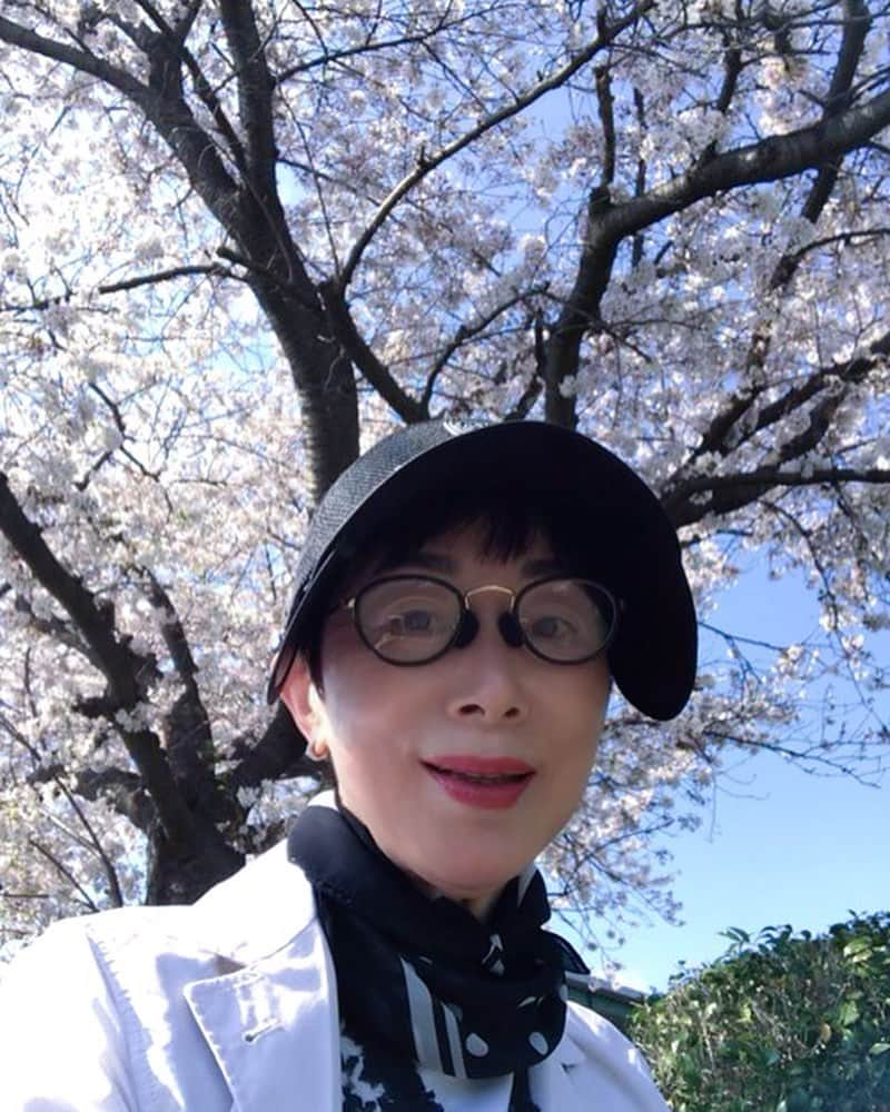 小川知子さんのインスタグラム写真 - (小川知子Instagram)「桜🌸も最後ですねー。  今日は何もないので桜🌸を見ながらドライブ🚗  風があるので寒く感じますが、小春日和の良い日です。  初めて作った納豆キムチチゲ。色々レシピがあるけど、ひき割り納豆を使ったレシピで挑戦。  ひき割り納豆 牛肉or豚肉 豆もやし ジャガイモ キノコ類 生姜 ニンニク 鶏ガラスープ 味噌 砂糖 コチュジャン 万能ネギ 白ゴマ ゴマ油  作り方は検索してね。  美味しかった！ 定番決定ー。  #最後の桜🌸  #納豆キムチチゲ #オイキムチ #トッポギ #小川知子」4月3日 18時30分 - tomoko_ogawa_