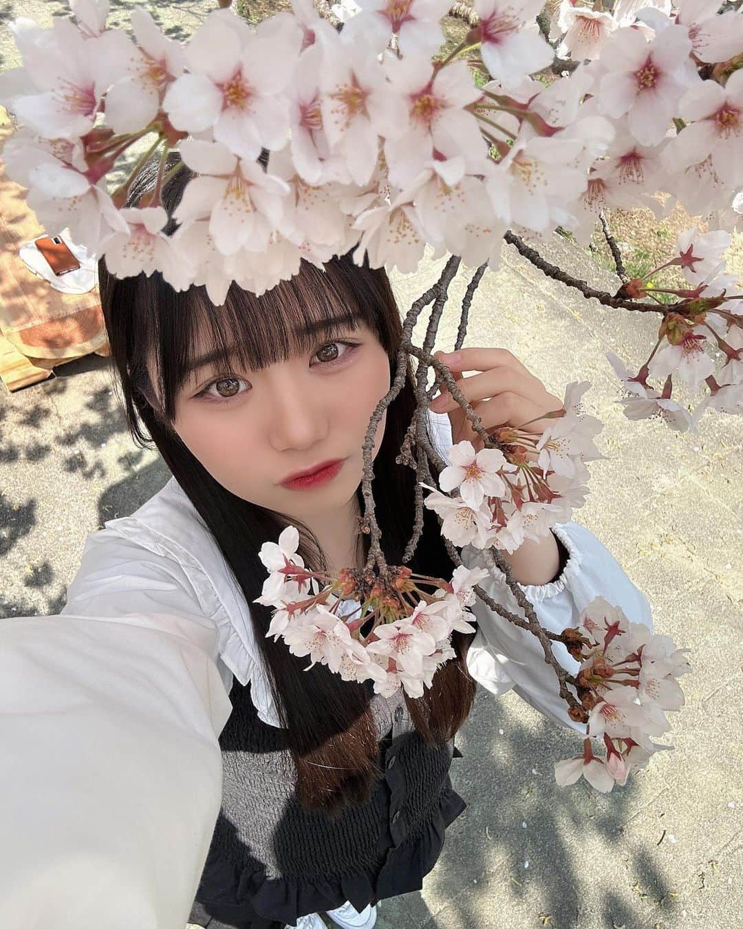 七瀬ななさんのインスタグラム写真 - (七瀬ななInstagram)「❤︎𓈒𓂂𓏸  一緒にお花見デートしよ？？🥺  (Twitterの写真とは違うバージョン🌸) #名古屋アイドル #アイドル #idol #愛知 #aichi  #jk2 #sjk #jkブランド #06 #女子高校生 #高校生 #拡散希望  #follow #followme #like4like #f4f #l4l #fff#いいね返し #フォロバ #ootd #お花見 #花見 #桜 #桜スポット #さくら #長野 #長野観光 #sjk開始のお知らせ」4月3日 18時34分 - osk_nanase