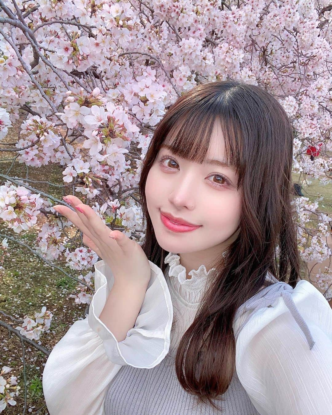 あやのさんのインスタグラム写真 - (あやのInstagram)「桜大好きだからずっと咲いててほしいな🌸 みんなもお花見した？🍡  #ハーフアップ #jk #制服 #日向坂46 #日向坂 #日向坂46好きな人と繋がりたい #踊ってみた#フレッシュ撮影会 #撮影会 #撮影会モデル #ポートレート #ダイサツ #アイドル #地下アイドル #コスプレヘアアレンジ #ヘアアレンジ  #コスプレ#jk #乃木坂 #アイドル好きと繋がりたい #イコラブ #ノイミー #制服コスプレ#tiktok#フルーツジッパー #振り付け #桜 #music #お花見 #新宿御苑」4月3日 18時35分 - _aya.no