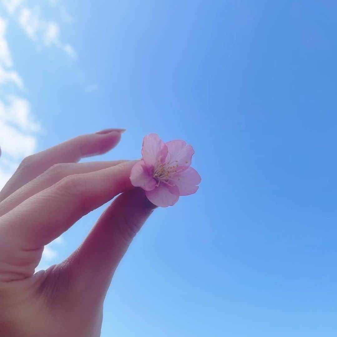 towanaのインスタグラム