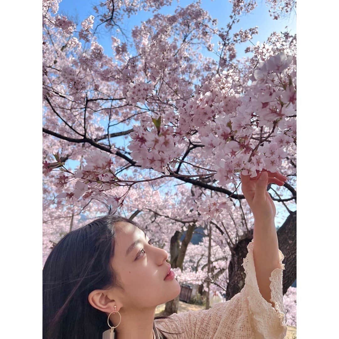 のインスタグラム：「⁡ ⁡ 2023.04.03 ⁡ 本日20歳になりました！ 大きな節目となる歳になったのが 未だに信じられないという気持ちもありますが、 自覚を持って、真摯に誠実に1年を過ごしていきます。」