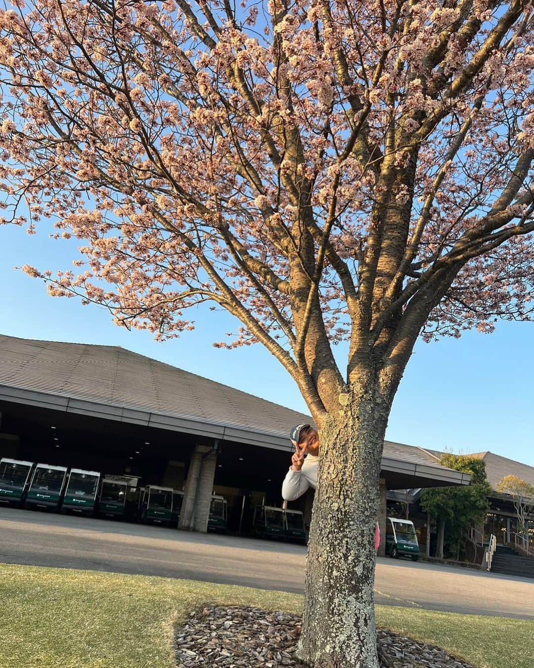 石川怜奈のインスタグラム：「久しぶりの #チェリーヒルズゴルフクラブ  🌸満開でした😉  甥っ子も合宿頑張っとるし?  よーしっ頑張るどいっ‼︎」