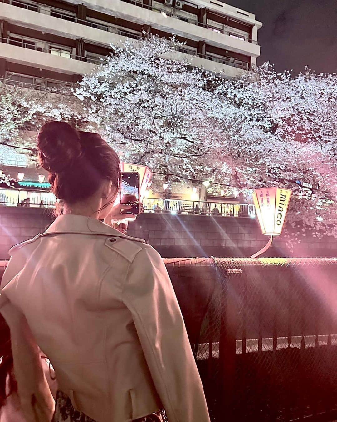 あやちゃんさんのインスタグラム写真 - (あやちゃんInstagram)「夜桜🌸🌙✧︎*。 すっごい綺麗だった♡ 食べ歩きもできたし大満足😋🍓 わりとまだ咲いてたよ❀  #目黒川桜まつり #目黒川 #目黒川の桜 #目黒川沿い #中目黒桜 #目黒川沿い桜並木 #夜桜ライトアップ #夜桜 #お花見 #お花見コーデ #桜スポット #桜並木 #桜スイーツ #いちごシャンパン #アップスタイル #お団子ヘア #まとめ髪アレンジ #japanesegirl #japanstyle」4月3日 18時56分 - aya.you.love.r