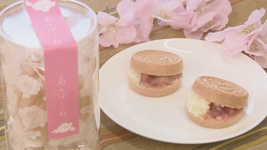 テレビ西日本「ももち浜ストア」さんのインスタグラム写真 - (テレビ西日本「ももち浜ストア」Instagram)「今日の #ももち特集は  横山紗弓さん(@1129sym )が 福岡で話題のあんこスイーツを紹介しました🌈  🔴GNU COFFEE（ @gnu_coffee ) #あんバタープリン チーズが効いた濃厚なプリンにあんこ＆バターをトッピング バターの塩味が良いアクセントになり絶品🍮 コーヒーを炭酸水で割った #ヌーコーヒーソーダ は プリンにも相性抜群✨  🔴京都祇園 あのん(@an.kyoto ) #あんぽーね　 舌触り滑らかなあんこと自家製マスカルポーネを お好みのバランスで最中に挟んで手作り👌 甘さが後を引かずスッキリとした後味 期間限定“桜のあんぽーね”も🌸  🔴甘味処あべ #白ぜんざいとぜんざい食べ比べセット※月初めのみの提供 栽培が難しく希少な #白小豆 を使用した白いぜんざい 普通のぜんざいより上品で優しい甘さ☺ おもちをワッフルメーカーで挟んだ #もっふる も名物🧇  #ももち浜ストア #ももち特集 #横山紗弓 #あんこスイーツ #あんこ #スイーツ #GNUCOFFEE #あんバタープリン #プリン #バター  #京都祇園あのん #あんぽーね #最中 #期間限定 #桜 #マスカルポーネクリームチーズ #手作り最中 #手作り #甘味処あべ #ぜんざい #白ぜんざい #おもち #餅」4月3日 19時11分 - momochihamastore8