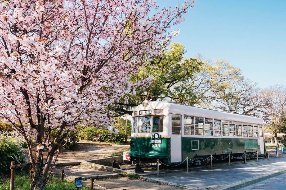 京都いいとこフォトのインスタグラム：「. かつて京都市民の足として走っていた市電。 こちらの935号は案内所として活用されています。 . A tram that used to run in Kyoto. This number 935 is used as an information center. . Date : 2023.3.30 Location : #梅小路公園 Photo : @kohei713 .」