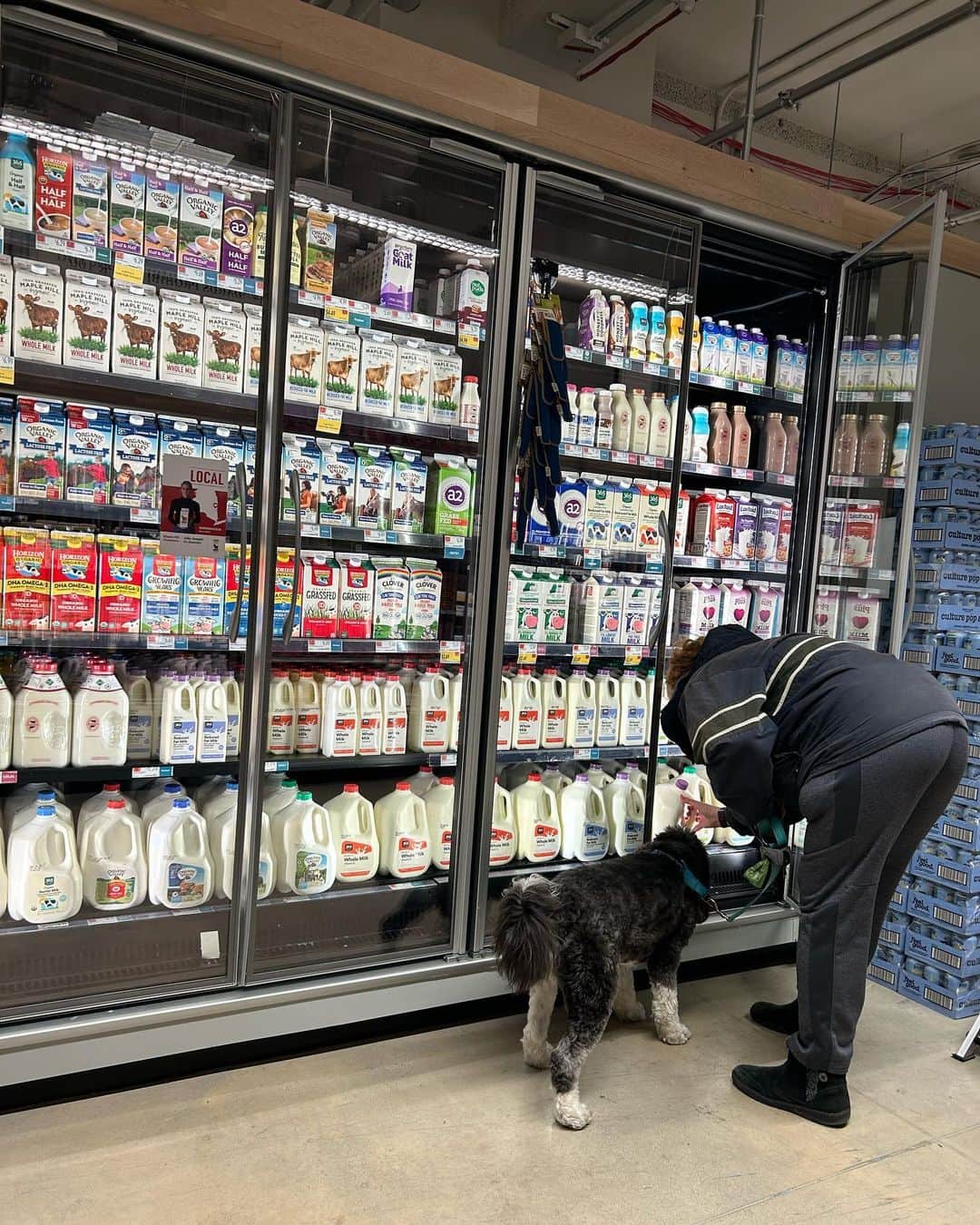 中岡由佳さんのインスタグラム写真 - (中岡由佳Instagram)「2023.03.30 ホールフーズマーケットで買い物。野菜、果物、ミルク、牛肉を買いました。ミルクの種類が多くて日本人は迷います。基本はガロン（約4リットル）なのでハーフガロン（約2リットル）が買いやすいかな。犬連れOKなのかと思っていましたが、本当はいけないようです。 #wholefoodsmarket  #nyc」4月3日 19時18分 - yuka_nakaoka