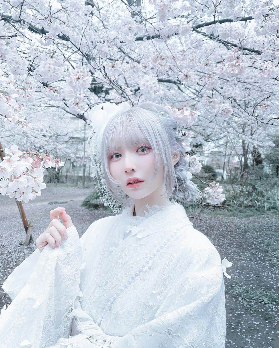 仲川琉菜さんのインスタグラム写真 - (仲川琉菜Instagram)「桜と