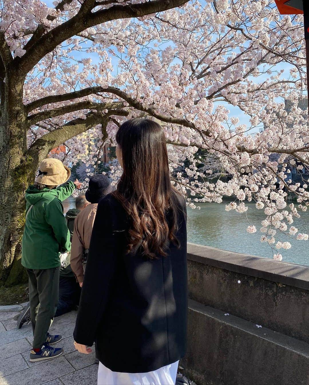 宮本和奏さんのインスタグラム写真 - (宮本和奏Instagram)「・ 桜ちゃん🌸 満開で綺麗だった  皆はお花見とかしたのー？ #宮本和奏」4月3日 19時30分 - lespros_wakana5