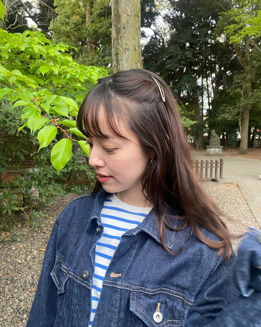 柳生みゆのインスタグラム：「外国の子どもみたいな、でも大人がしても許してもらえそうなゆるいハーフツイン🌸ヘアピンは100均っ。 ボーダーはユニクロのキッズの160cm👧🏻 桜はもうそろそろ見納めかなぁ。 #ハーフツイン #ヘアアレンジ #ボーダー#ボーダートップス #デニムコーデ」