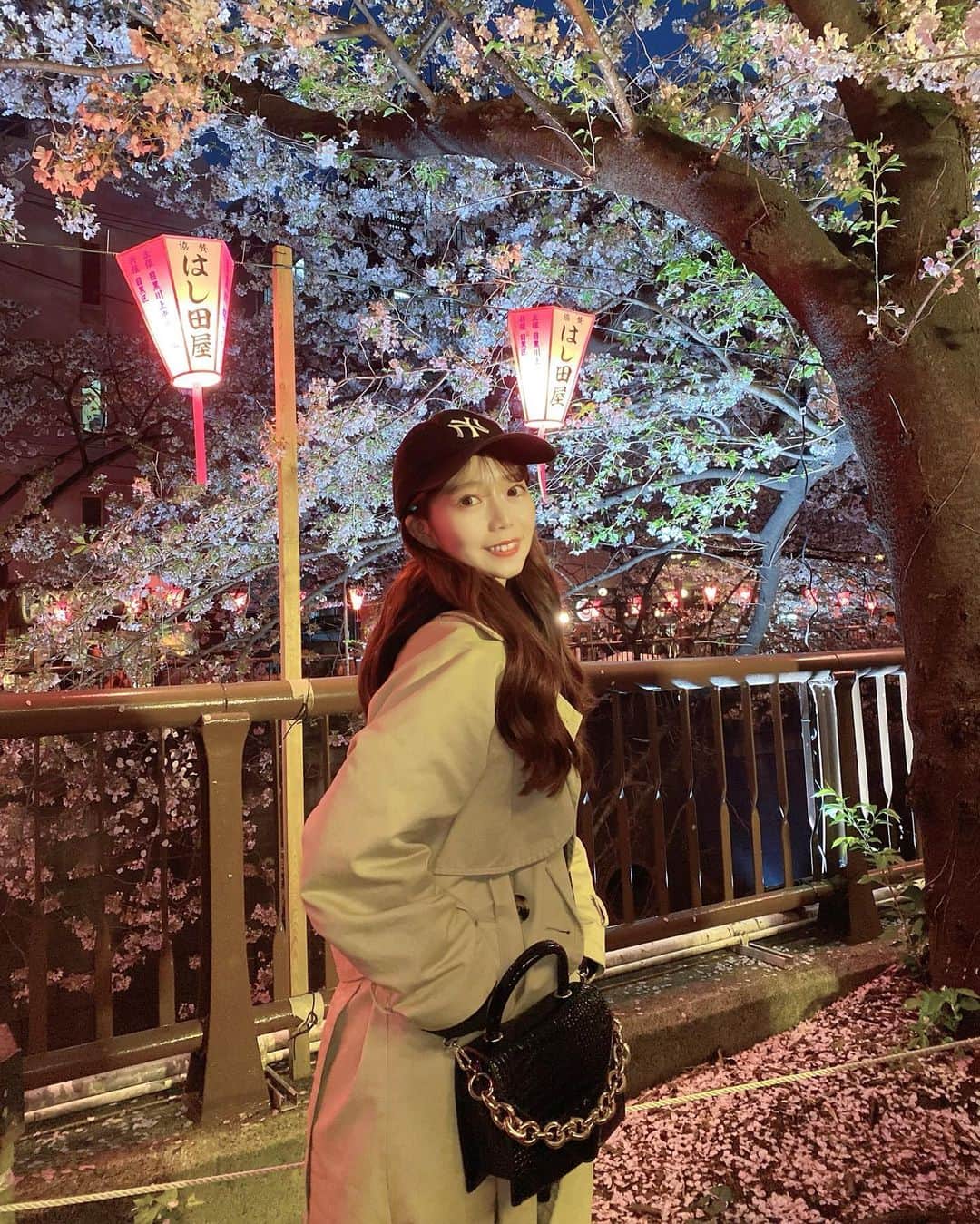 柏元萌華のインスタグラム：「２日連続行っちゃった🫶🏻🫶🏻🌸  初めて10枚投稿笑  #目黒川#目黒川桜まつり #お花見 #わんことお出かけ」
