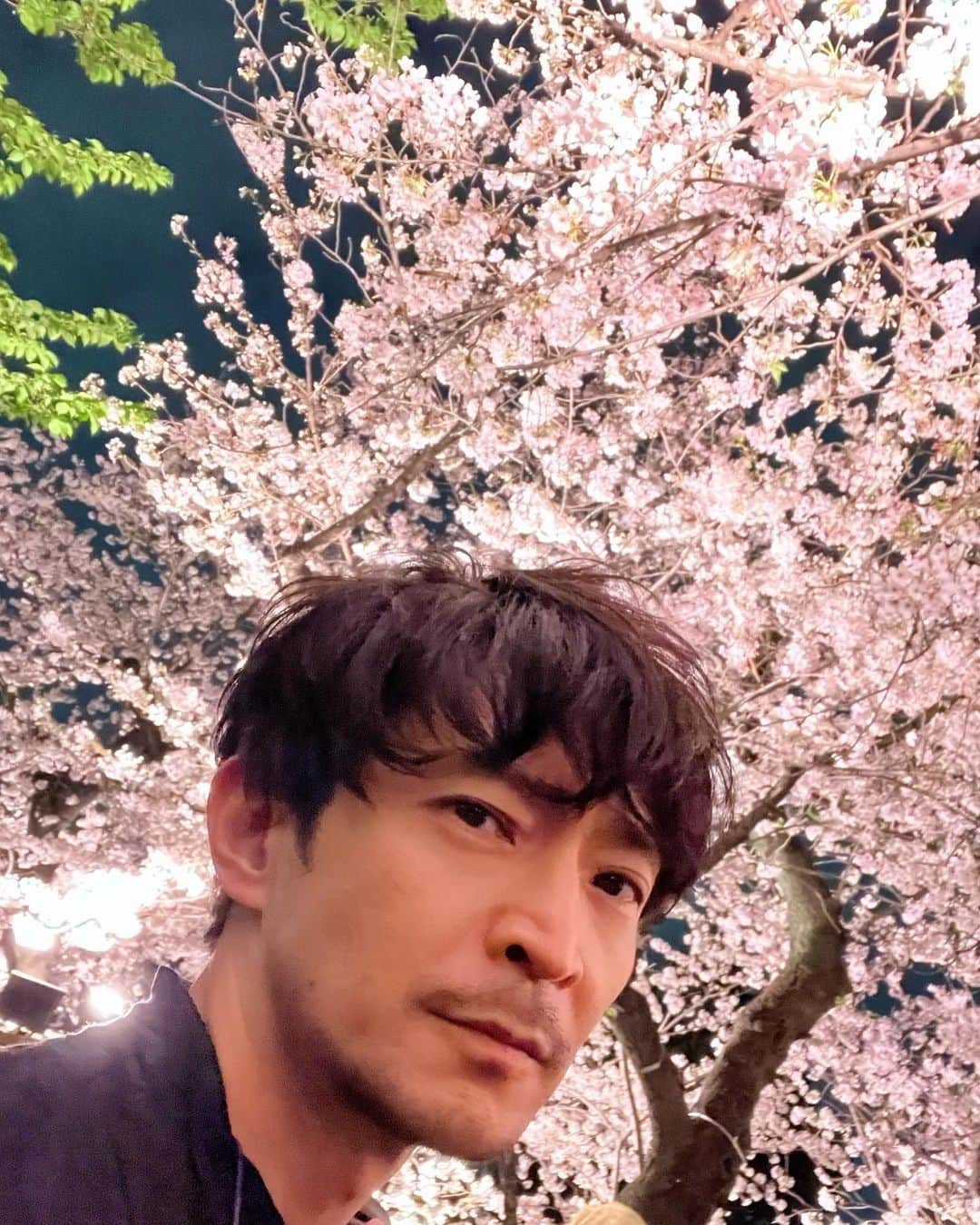 津田健次郎のインスタグラム：「先日、満開の桜の樹の下で  The other day, under the cherry tree in full bloom.  #津田健次郎 #ツダケン #kenjirotsuda #tokyo #poorenglish」