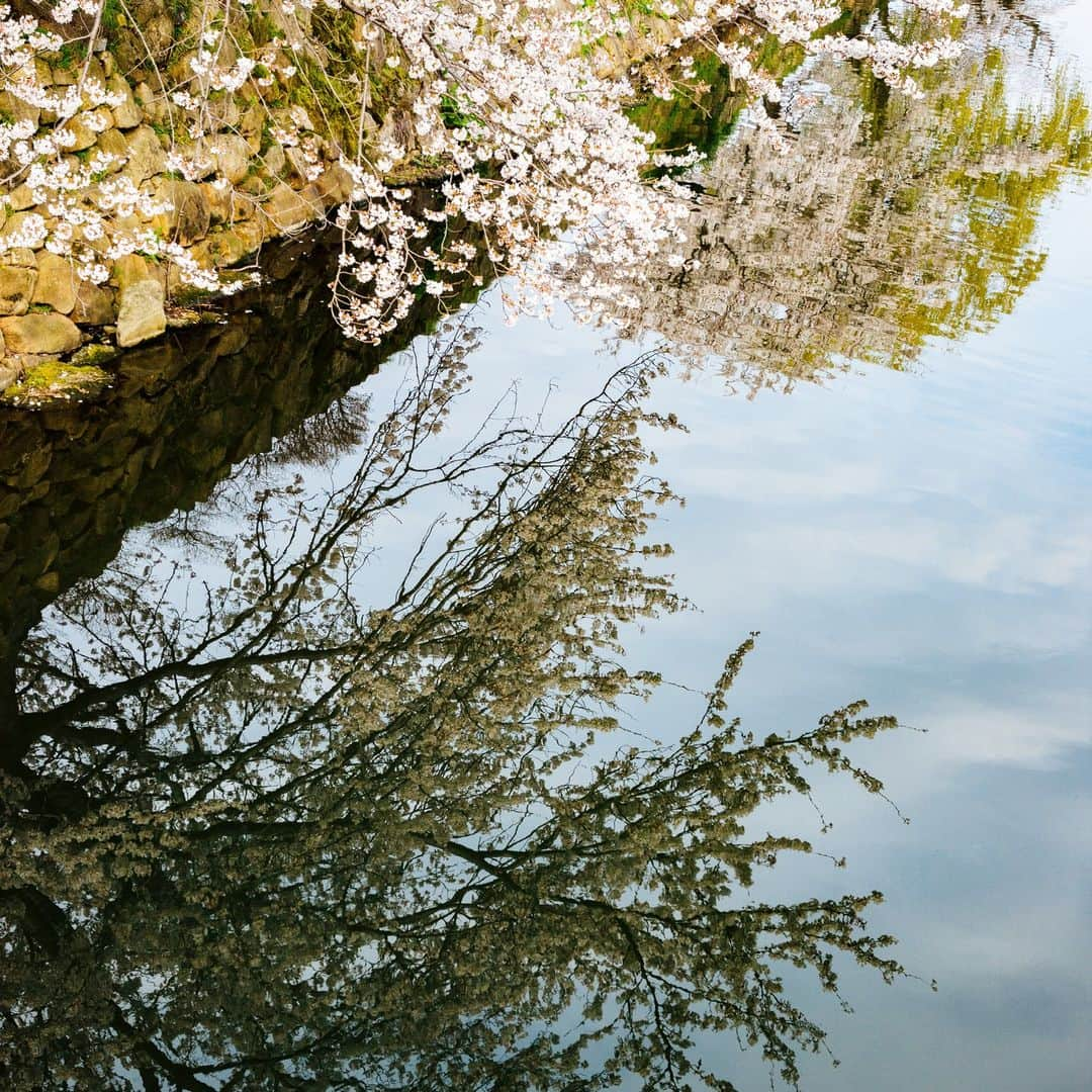 orgabitsのインスタグラム：「4月最初の月曜日。今日から新しい生活が始まる人も多いのではないでしょうか？入社式や入学式など門出を迎えられるみなさま、おめでとうございます。  せっかくの新生活。 "ちょっと" 新しいことに、取り組んでみませんか？ 例えば、新しいタオルは「オーガニックなもの」を選ぶ。「ゴミを出さない」ように買い物をしてみる。などなど、少しの心配りで地球にも社会にもいい選択をしていきたいですよね。  さて、みんなで “ちょっと（bits）ずつ” 地球環境や生産者に貢献しようという想いから始まったORGABITS（オーガビッツ）の情報発信サイト「BITS MAGAZINE」では、「ちょっといいこと」を実践し続けている方々にインタビューを行っています。  「完璧を最初から目指さない - 溝渕由樹さん @ovgo_official」「自分が何をどれだけ必要か能動的に考える - ノイハウス萌菜さん @totoya_kyoto」「自分がおかしいなと思うことは変えたり、新しい方法を試したりし続けたい- 鈴木鉄平さん @micotoya」などなど。  きっと、たくさんのヒントが詰まっていますよ！  #オーガビッツ  #オーガニックコットン #ちょっとくらいがちょうどいい  #orgabits  #bitsmagazine #クッキー  #オブゴ  #オブゴベイカー  #ovgo  #ovgobaker  #vegan  #vegancookies  #ヴィーガン  #ヴィーガンスイーツ  #プラントベース  #スイーツ  #原宿カフェ #青果ミコト屋  #ミコト屋  #micotoya  #kikinaturalicecream #micotoya house #旅する八百屋  #斗々屋 #量り売り #ゴミゼロ  #ゼロウェイスト #プラスチックフリー」