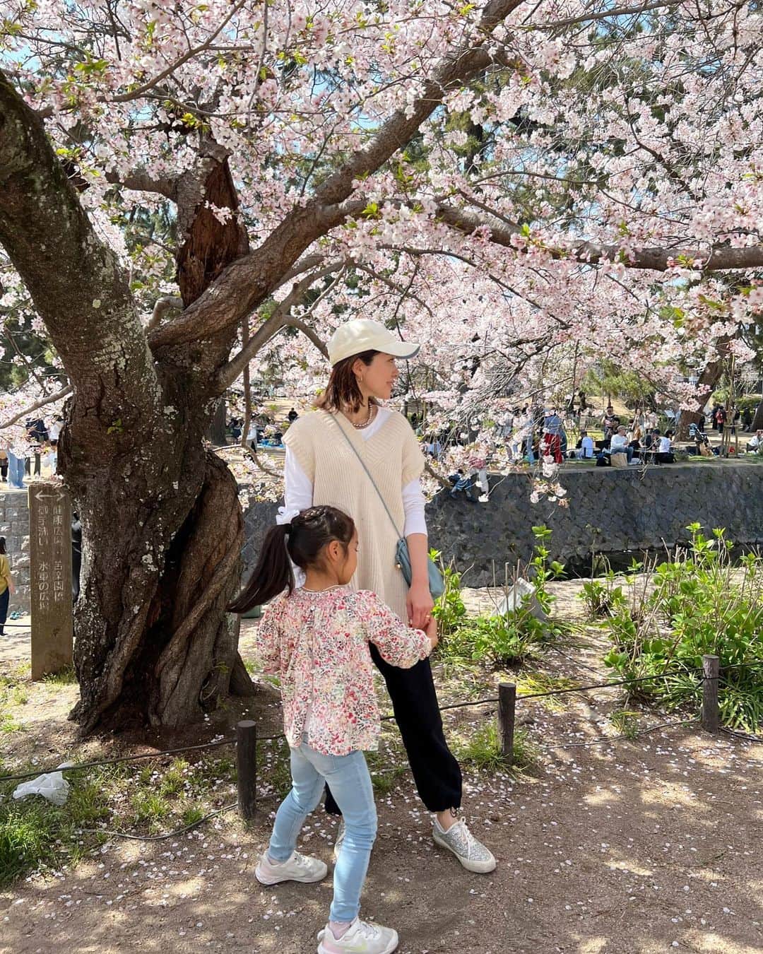 林香里さんのインスタグラム写真 - (林香里Instagram)「毎日のようにお花見｡❀ 𓂃𓈒𓏸 一瞬で散ってしまって儚いけど本当に綺麗🥺🌸  #お花見#桜#cherryblossom」4月3日 19時47分 - kaori_hayashi1203
