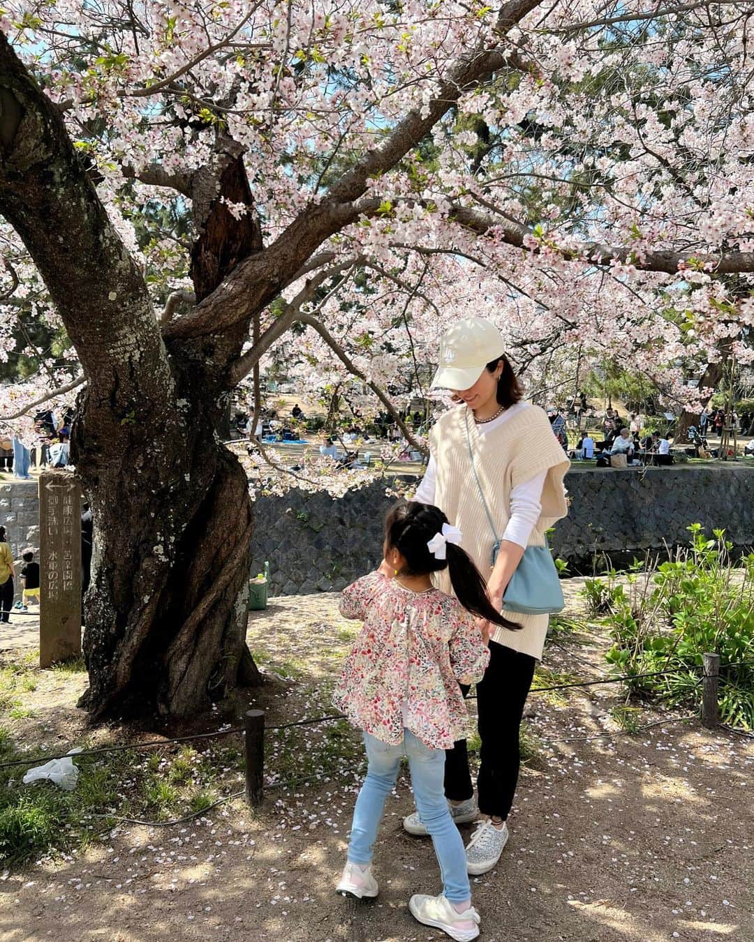 林香里のインスタグラム：「毎日のようにお花見｡❀ 𓂃𓈒𓏸 一瞬で散ってしまって儚いけど本当に綺麗🥺🌸  #お花見#桜#cherryblossom」