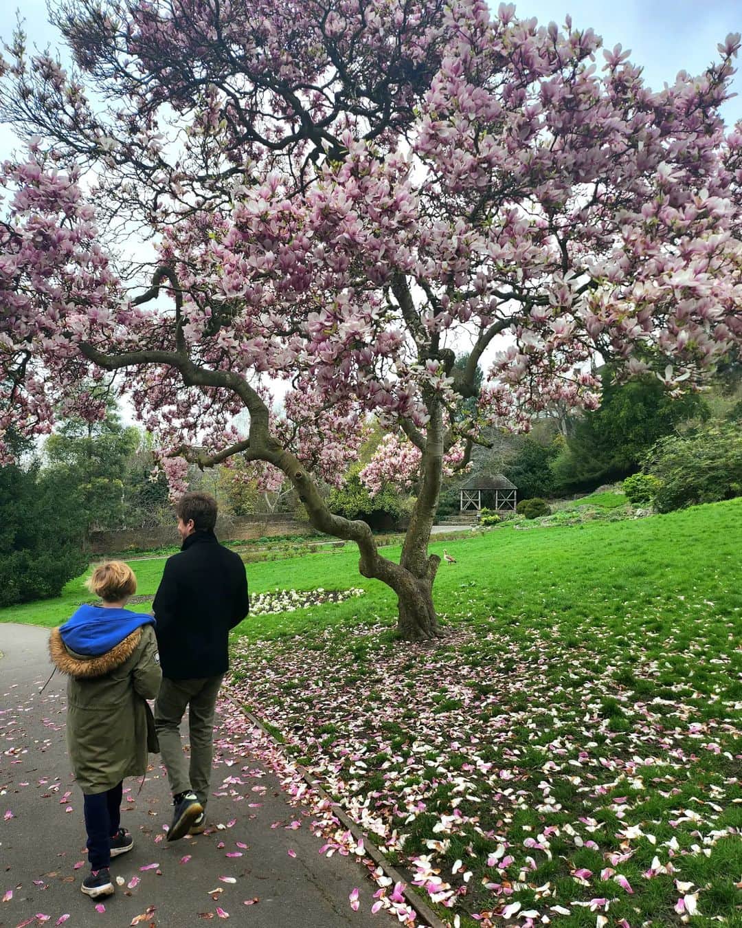 ファーン・コットンのインスタグラム：「🌸💗 @jessejameswood & Rexy」