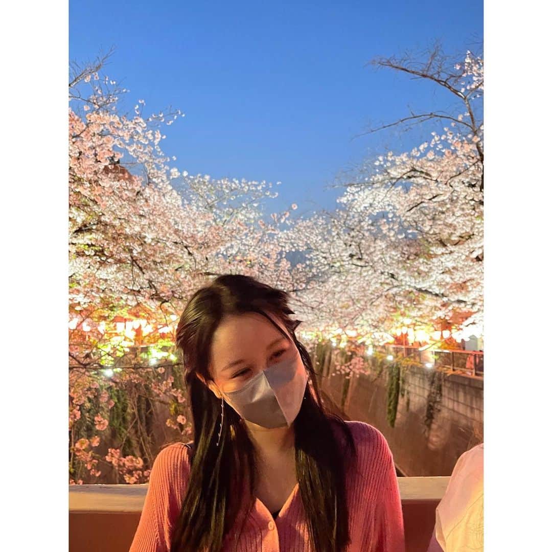 白上心望さんのインスタグラム写真 - (白上心望Instagram)「🌸」4月3日 19時54分 - kokomo_shirakami_official