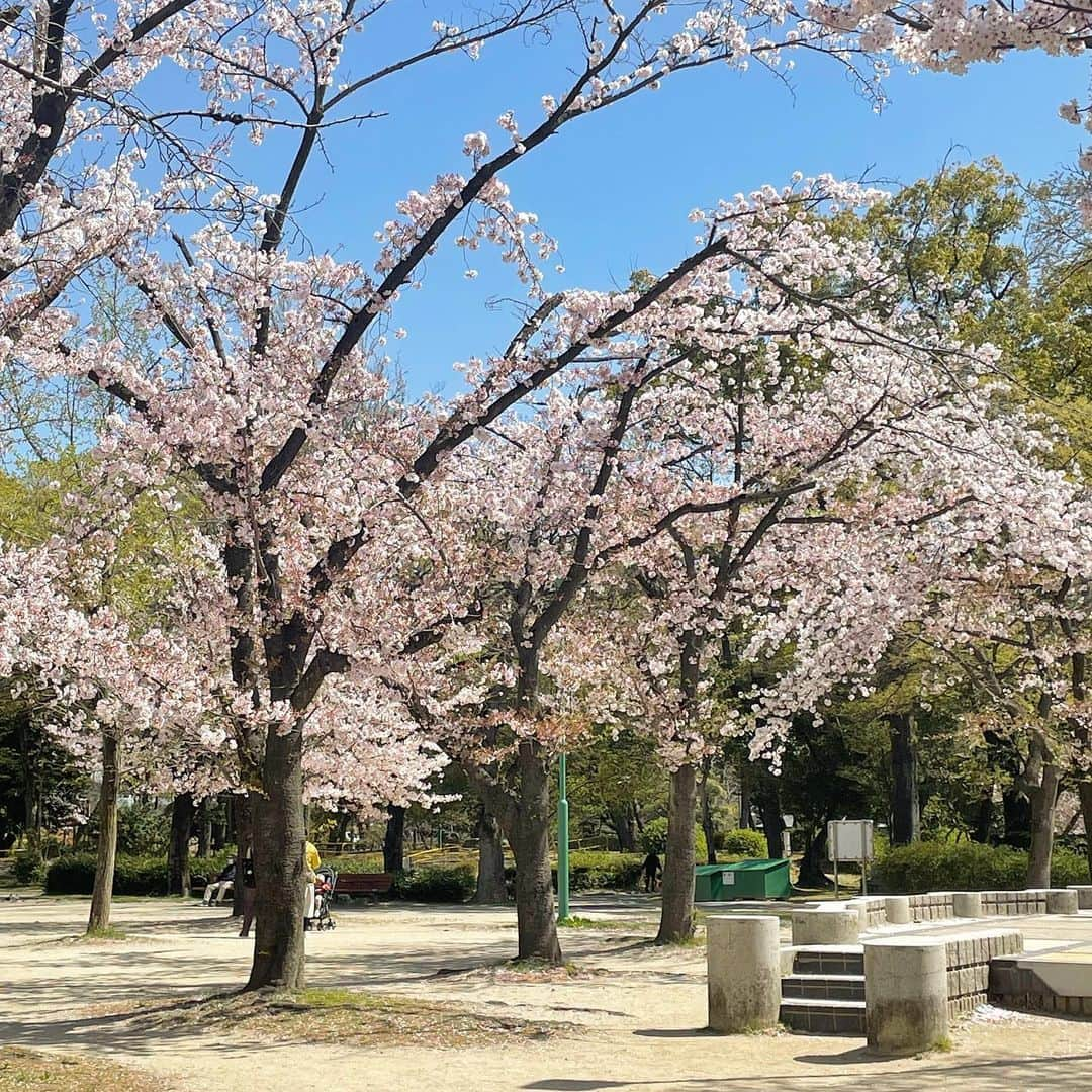 pikeのインスタグラム：「4月🌸」