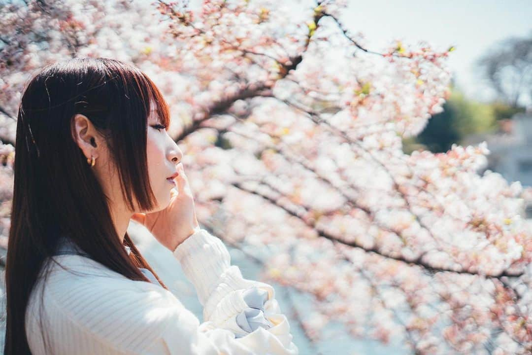 松田ゆう姫さんのインスタグラム写真 - (松田ゆう姫Instagram)「Photographer @jayclewis12   #桜 #井の頭公園 #春 #ポートレート #ファインダー越しの私の世界  #spring #cherryblossom #inokashirapark #portrait #portraitphotography」4月3日 20時00分 - yu________k1