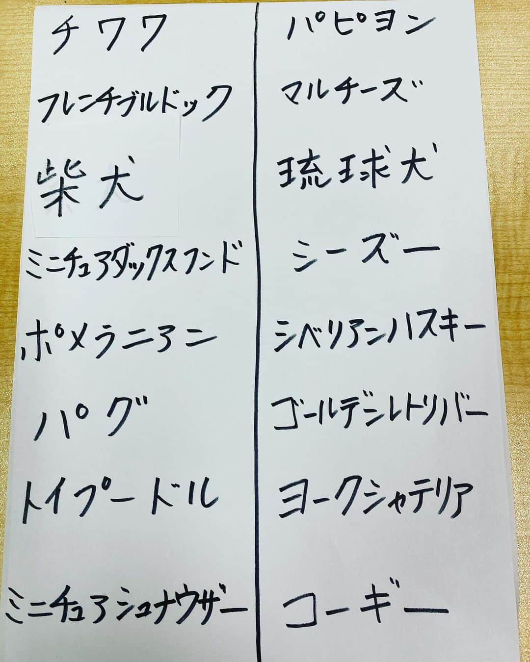 竹中知華さんのインスタグラム写真 - (竹中知華Instagram)「明日の華天なんでもランキングは 【先日奥武山公園で行われた 　県内最大規模のドッグイベントに 　　　参加した多かった犬種ベスト3】 犬種は↓から選んでね！ （沖縄でよく飼われている犬種が分かるはずよ😊） ２位と１位をあてよ！ 件名→ランキング hanaten@rokinawa.co.jpへ #雑草　#ラジオ沖縄」4月3日 20時16分 - tomoka119