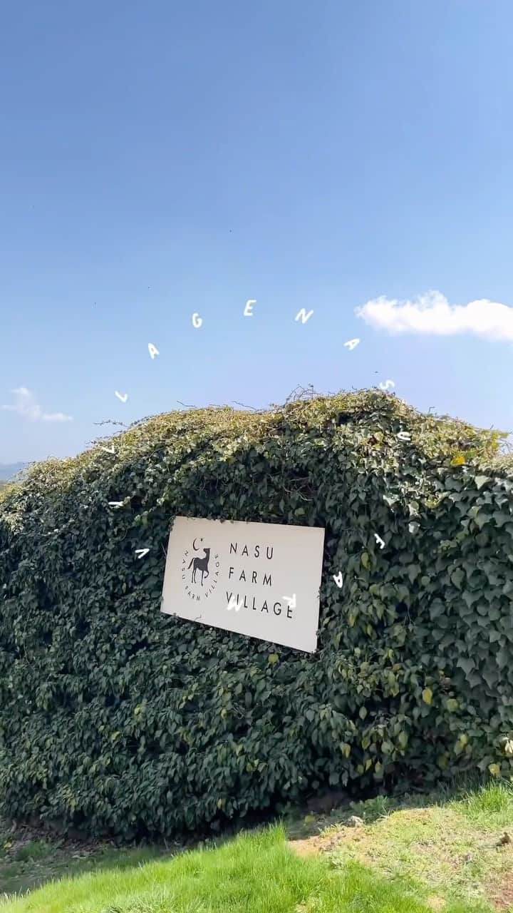 桑島 夢のグルメインスタ