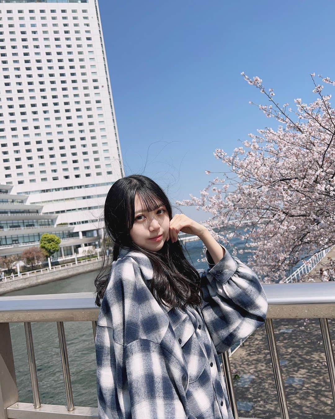 村上和叶さんのインスタグラム写真 - (村上和叶Instagram)「これは横浜の桜   #桜  #gyda」4月3日 20時17分 - murakami_wakana