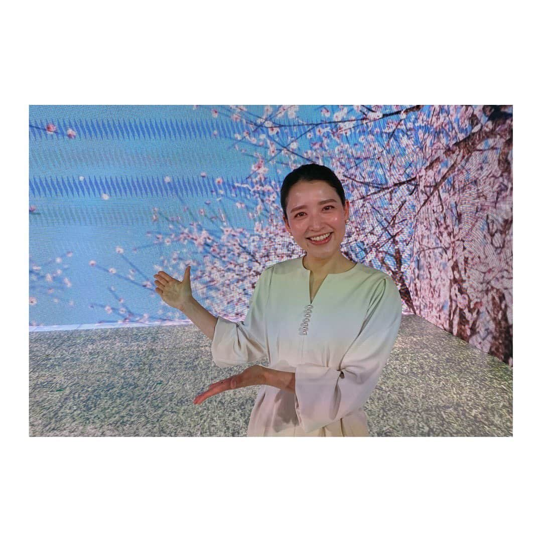 小熊美香さんのインスタグラム写真 - (小熊美香Instagram)「🎤🌸 この春、入社式、入学式、入園式など、 新生活をスタートさせた皆様、 おめでとうございます☺️  今年も、株式会社ワールドインテックの 入社式の司会を務めさせて頂きました🫡🎤🌸  スタジオいっぱいに映し出された 満開の桜の下で行われ、心もポカポカ😌  新入社員代表の皆さんの挨拶に 忘れかけていた何かを思い出させてもらい… 先輩社員の皆さんの激励のメッセージに 胸がジーンとし…🥹  私自身も気持ちを新たに頑張って行こう‼︎と 背中を押されました😌  まずは、日々子供たちに ゴラァァアアアーーーー という回数を減らしたいと思います🫣😂  今年も素敵な入社式に参加させて頂き ありがとうございました‼︎  #株式会社ワールドインテック　様 #入社式も内定式もいつも華やか‼︎ #社長役員社員の皆さんがとても温かい🥹 #東京タワー内の会場 #素敵な1日になりました😌」4月3日 20時11分 - ogumamika