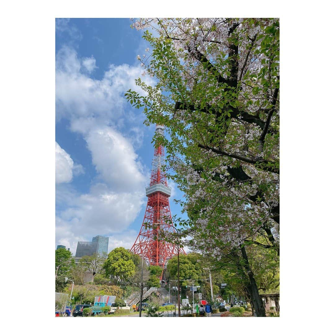 小熊美香さんのインスタグラム写真 - (小熊美香Instagram)「🎤🌸 この春、入社式、入学式、入園式など、 新生活をスタートさせた皆様、 おめでとうございます☺️  今年も、株式会社ワールドインテックの 入社式の司会を務めさせて頂きました🫡🎤🌸  スタジオいっぱいに映し出された 満開の桜の下で行われ、心もポカポカ😌  新入社員代表の皆さんの挨拶に 忘れかけていた何かを思い出させてもらい… 先輩社員の皆さんの激励のメッセージに 胸がジーンとし…🥹  私自身も気持ちを新たに頑張って行こう‼︎と 背中を押されました😌  まずは、日々子供たちに ゴラァァアアアーーーー という回数を減らしたいと思います🫣😂  今年も素敵な入社式に参加させて頂き ありがとうございました‼︎  #株式会社ワールドインテック　様 #入社式も内定式もいつも華やか‼︎ #社長役員社員の皆さんがとても温かい🥹 #東京タワー内の会場 #素敵な1日になりました😌」4月3日 20時11分 - ogumamika