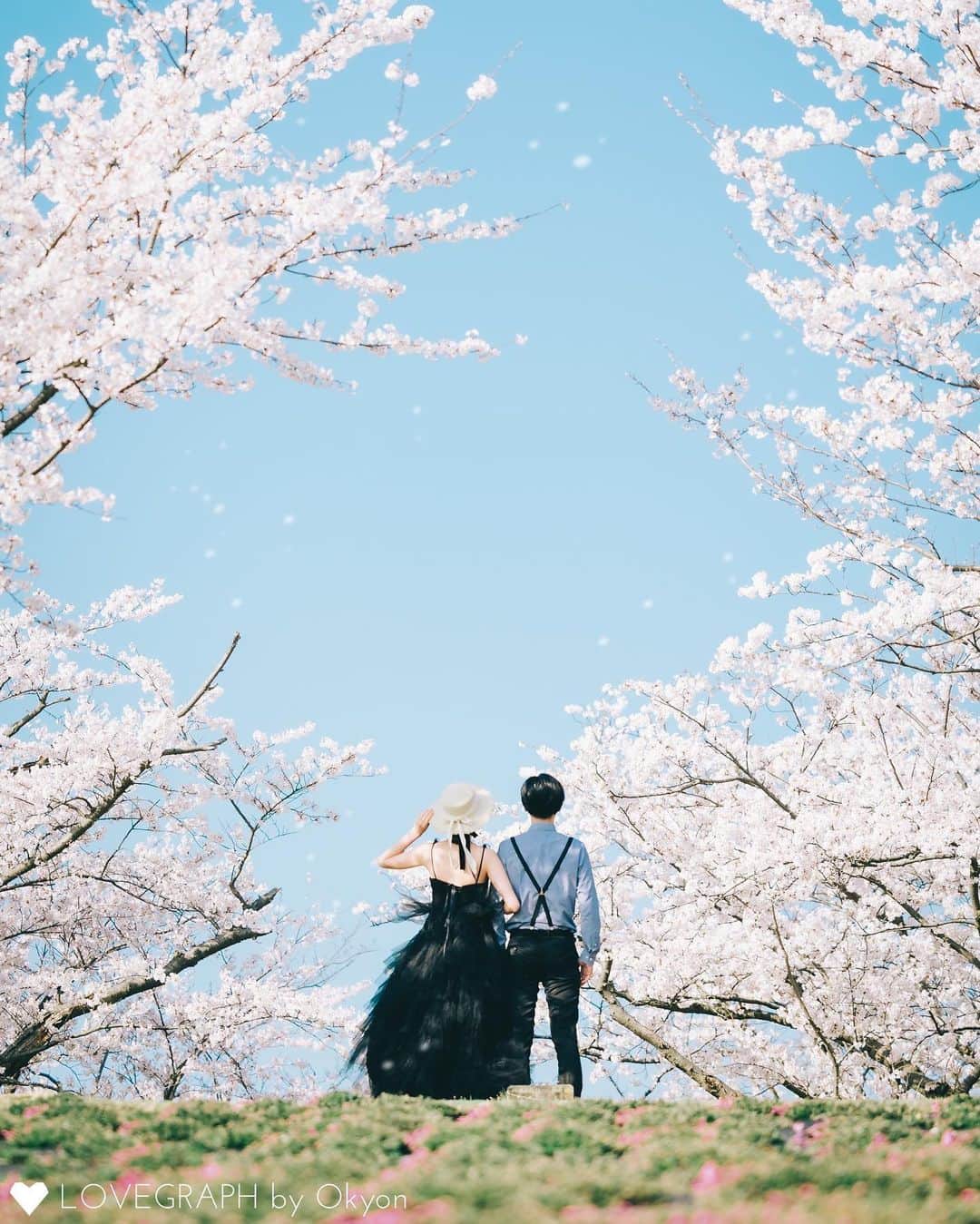 Lovegraph［ラブグラフ］のインスタグラム：「ㅤㅤㅤㅤㅤㅤㅤㅤㅤ桜の季節のウェディングフォトが美しすぎる。🌸  ୨୧┈┈┈┈୨୧ ㅤㅤㅤㅤㅤㅤ 出張撮影Lovegraphの公式アカウントです❁︎ ㅤㅤㅤ カップル・ウェディング・ファミリー・プロフィール写真など様々なジャンルの撮影を受付中📸💫 ㅤㅤㅤ 撮影予約はプロフィールURLからどうぞ☺️✈️ @lovegraph_me ㅤㅤㅤ ୨୧┈┈┈┈୨୧ ㅤㅤㅤ #Lovegraph #ラブグラフ #幸せな瞬間をもっと世界に ㅤㅤㅤ  #出張カメラマン #ロケーションフォト #桜前撮り #ウェディングフォト #ブラックドレス #前撮りポーズ」