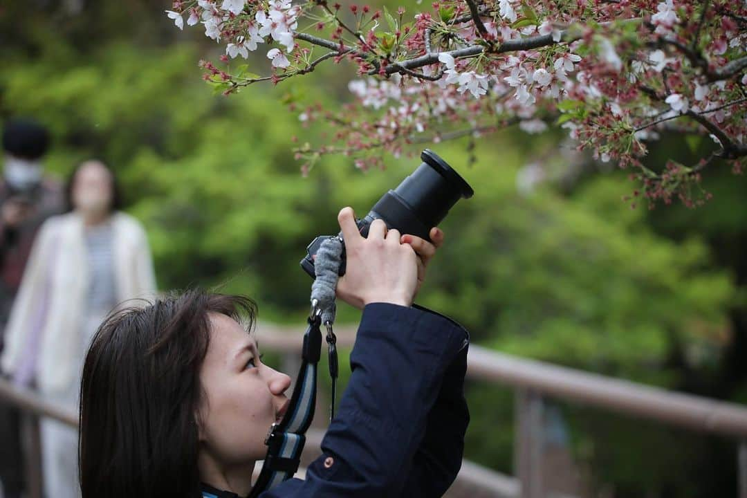 岡本沙紀のインスタグラム：「Buenos días ☀️ 🇪🇸  先日、お花見をしました🌸 今年は暖かかったからか、桜は早くも散り始めていました🍃  久々に前髪を作ったのですが、髪の毛が前髪の演じ方を忘れてしまってたみたいで(?)、写真ではしっちゃかめっちゃかになってしまっていて恥ずかしいです😅  文房具やその活用法などについて紹介しているYouTubeチャンネル「さきちゃんねる 文房具とエトセトラ」では、100分耐久勉強動画を公開しました✍️  試験対策や、しっかり勉強したいときにぜひ役立ててください☺️  コメントで質問いただいていた英語の勉強法や日本史の勉強法などについての動画も随時公開予定ですのでお楽しみに！  Buenos días ☀️ 🇪🇸  I had a hanami (cherry blossom viewing) party 🌸 As it was so warm this year, the cherry blossoms were already starting to fall 🍃  It's been a while since I had bangs last time, so my hair seemed to have forgotten how to act like bangs, that’s why my hair is such a mess all the time 🫢  My YouTube channel "Saki Channel: Stationery and Etcetera", which introduces stationery and how to use it, has released a 100-minute study video✍️  Please use it to prepare for exams or when you want to focus on studying☺️  Please feel free to ask me anything or request any kind of contents you will want to watch, and I’ll try my best:)  Here’s my channel link: https://youtube.com/@sakichannel_stationery  I wish you all enjoy the contents!  Adiós 👋   #sakura #cherryblossom #お花見 #nikonz6 #nikoncreators #nikonz30 #japanesegirl #studywithme #勉強垢さんと繋がりたい #勉強法 #英語学習 #美国留学 #英語垢さんと繋がりたい　#いつでも連れ出したくなるNikonパンケーキレンズ」