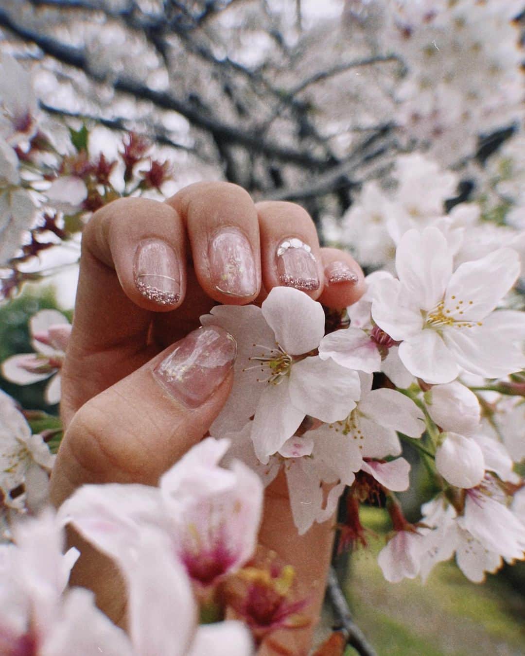 橋本香澄さんのインスタグラム写真 - (橋本香澄Instagram)「.  𝒩ℯ𝓌 𝒩𝒶𝒾𝓁𝓈 💅🏽´-  春なので珍しくピンク🌸 満開の桜とたくさん撮れて ネイルも映えkawaii💒💞 . #nail #nails #nailart #naildesign  #sakura #sakuranails #spring」4月3日 20時33分 - _jasmine_tete_