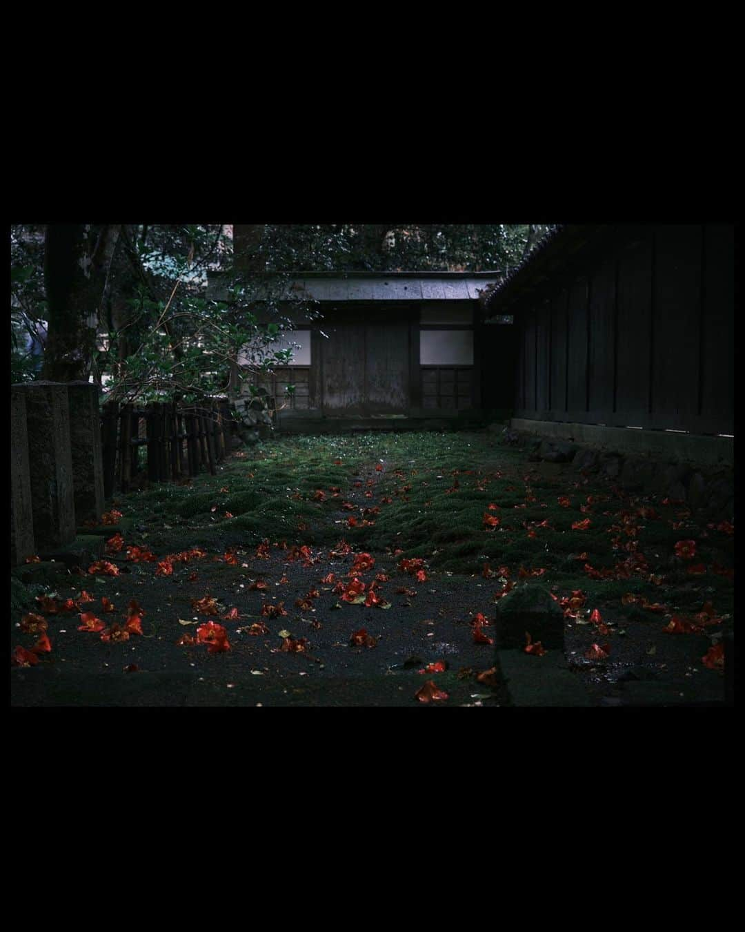 plus_thinkingさんのインスタグラム写真 - (plus_thinkingInstagram)「雨の瀧谷寺🌸 . camera: X-T3 lens: FUJINON  XF10-24㎜F4 R OIS WR lens: FUJINON  XF16-80㎜F4 R OIS WR . #今日もX日和 #beautifuljapan #snapJapan #瀧谷寺」4月3日 20時29分 - plus_thinking