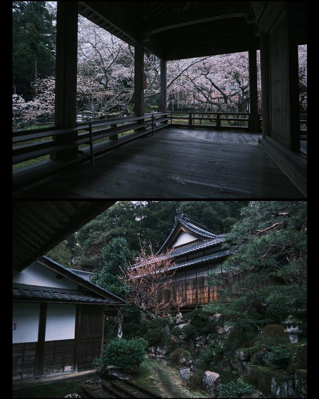 plus_thinkingさんのインスタグラム写真 - (plus_thinkingInstagram)「雨の瀧谷寺🌸 . camera: X-T3 lens: FUJINON  XF10-24㎜F4 R OIS WR lens: FUJINON  XF16-80㎜F4 R OIS WR . #今日もX日和 #beautifuljapan #snapJapan #瀧谷寺」4月3日 20時29分 - plus_thinking