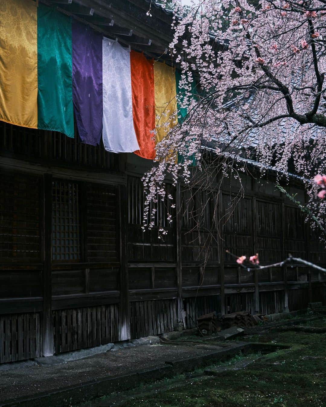 plus_thinkingさんのインスタグラム写真 - (plus_thinkingInstagram)「雨の瀧谷寺🌸 . camera: X-T3 lens: FUJINON  XF10-24㎜F4 R OIS WR lens: FUJINON  XF16-80㎜F4 R OIS WR . #今日もX日和 #beautifuljapan #snapJapan #瀧谷寺」4月3日 20時29分 - plus_thinking