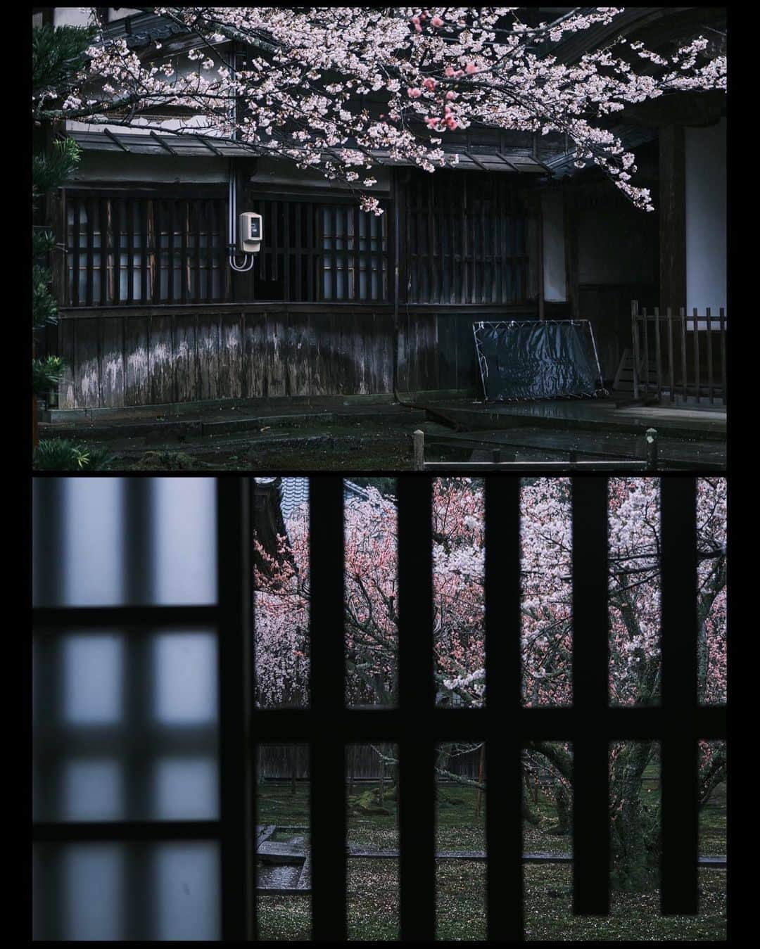 plus_thinkingのインスタグラム：「雨の瀧谷寺🌸 . camera: X-T3 lens: FUJINON  XF10-24㎜F4 R OIS WR lens: FUJINON  XF16-80㎜F4 R OIS WR . #今日もX日和 #beautifuljapan #snapJapan #瀧谷寺」