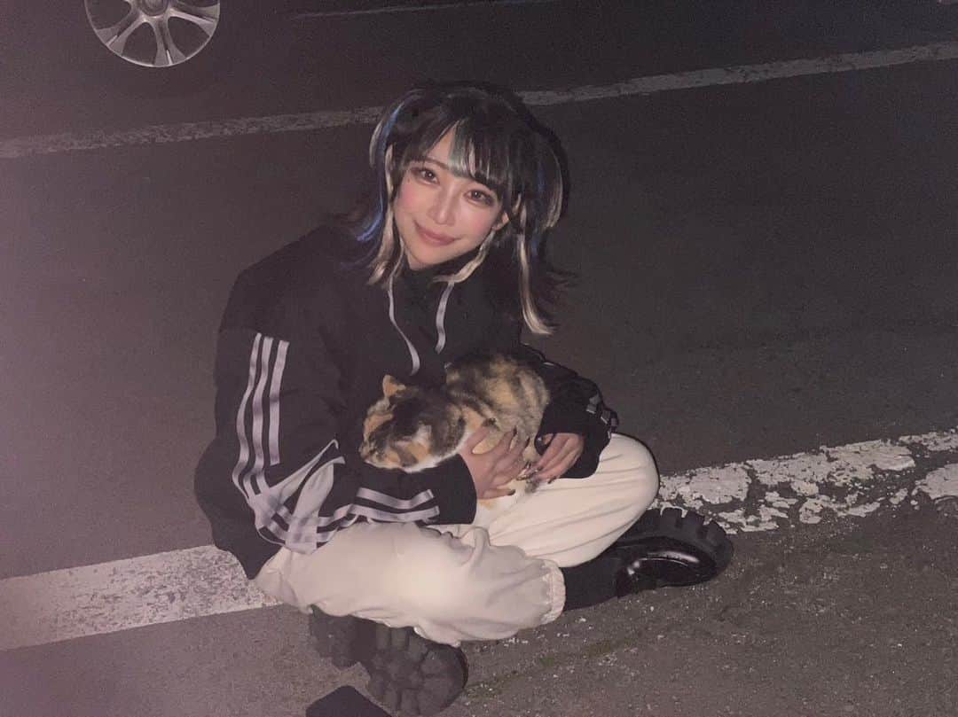 ちゃんもも◎のインスタグラム：「出会いとは、幸せということ #猫　#人間　#駐車場」