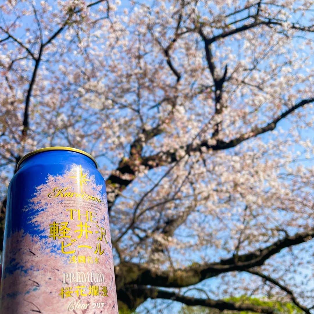 ジンソクさんのインスタグラム写真 - (ジンソクInstagram)「お花見とビール 벚꽃과 맥주💕  #軽井沢ビール」4月3日 20時35分 - jinstar