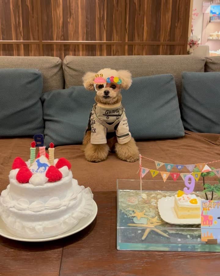 ❤︎Till❤︎のグルメインスタ