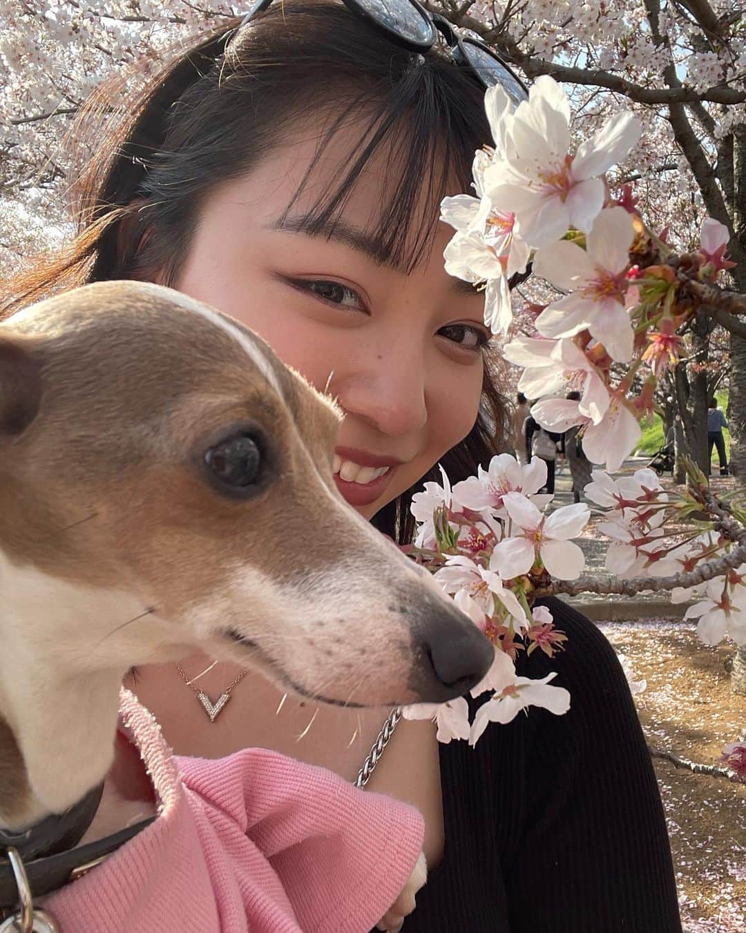 鈴木海那さんのインスタグラム写真 - (鈴木海那Instagram)「4月スタート🌸🌸 ポカポカしてて暖かいね🫶  桜もたくさん咲いていて癒されます💖  #4月 #新生活 #桜」4月3日 20時38分 - suzuki_miina