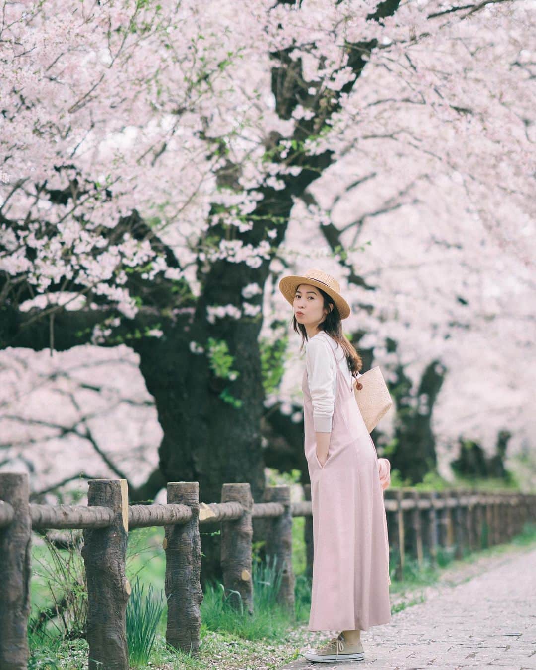 mikicoco00のインスタグラム：「・ 4月😚🌸 新年度ですね、気持ち新たにスタート！ 今年の桜も綺麗だった♡  ・ ・ ・ ・ ・ #桜#sakura#CherryBlossom #spring#pink#coodinate  #春#新年度#4月#お花見#お散歩 #花より団子#ステーキ食べた」