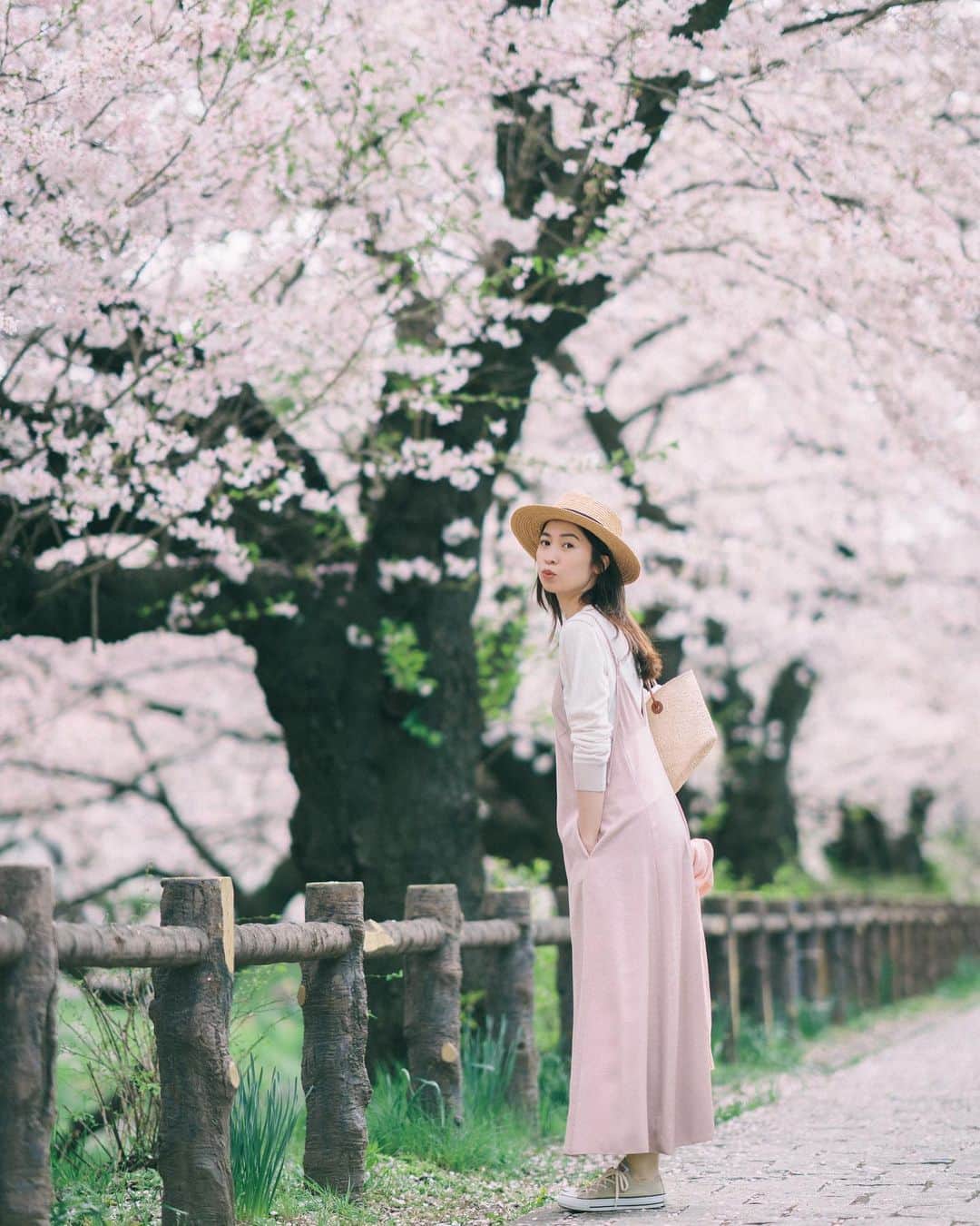 のインスタグラム：「・ 4月😚🌸 新年度ですね、気持ち新たにスタート！ 今年の桜も綺麗だった♡  ・ ・ ・ ・ ・ #桜#sakura#CherryBlossom #spring#pink#coodinate  #春#新年度#4月#お花見#お散歩 #花より団子#ステーキ食べた」