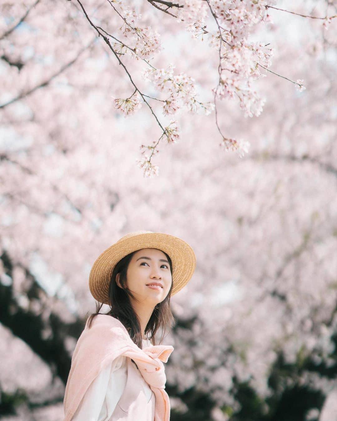 mikicoco00さんのインスタグラム写真 - (mikicoco00Instagram)「・ 4月😚🌸 新年度ですね、気持ち新たにスタート！ 今年の桜も綺麗だった♡  ・ ・ ・ ・ ・ #桜#sakura#CherryBlossom #spring#pink#coodinate  #春#新年度#4月#お花見#お散歩 #花より団子#ステーキ食べた」4月3日 20時44分 - mikicoco00