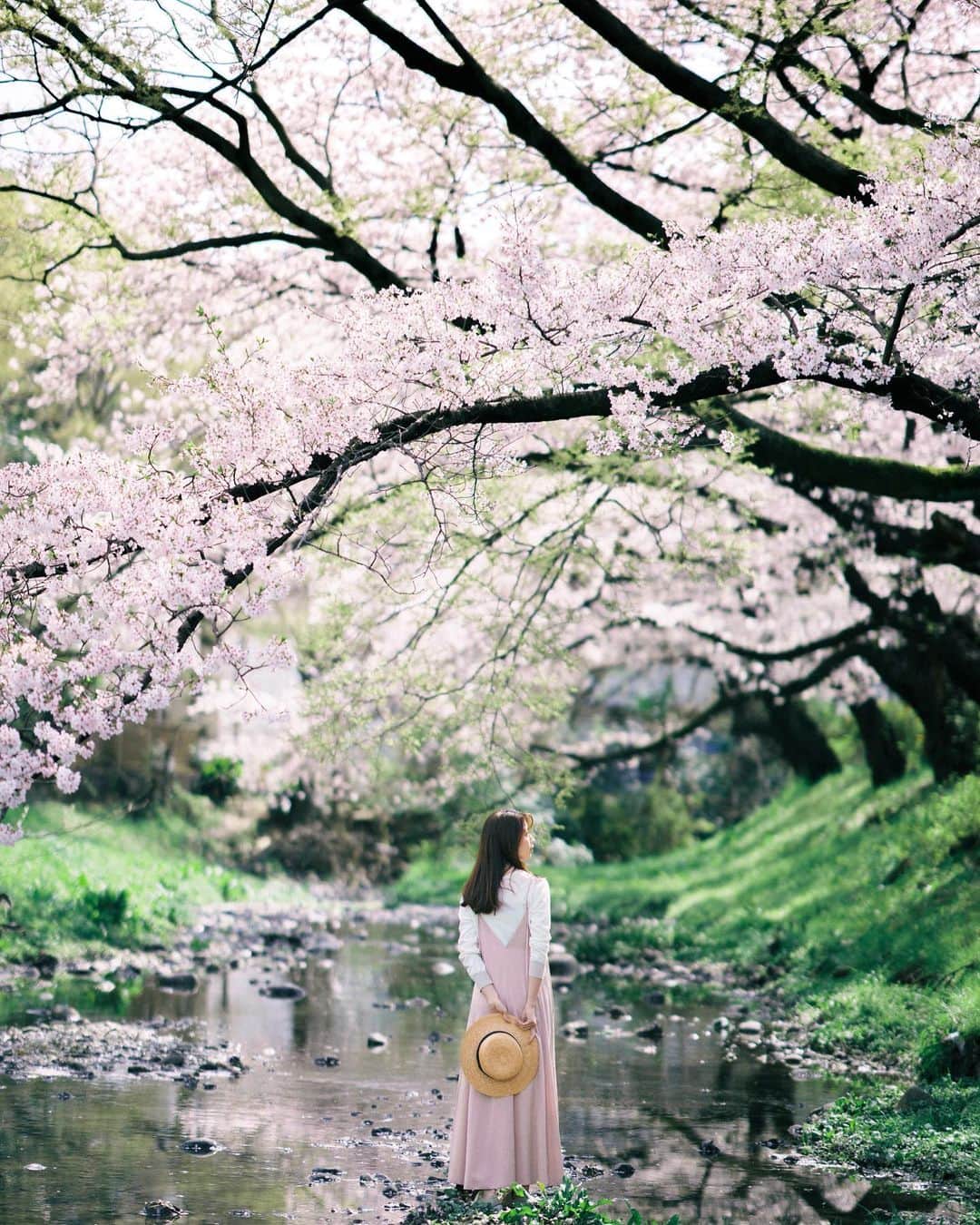 mikicoco00さんのインスタグラム写真 - (mikicoco00Instagram)「・ 4月😚🌸 新年度ですね、気持ち新たにスタート！ 今年の桜も綺麗だった♡  ・ ・ ・ ・ ・ #桜#sakura#CherryBlossom #spring#pink#coodinate  #春#新年度#4月#お花見#お散歩 #花より団子#ステーキ食べた」4月3日 20時44分 - mikicoco00