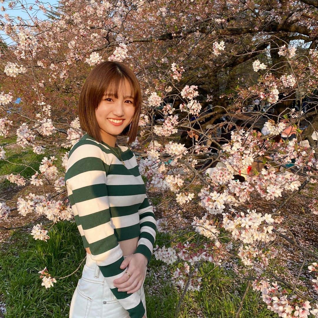 櫻井紗季さんのインスタグラム写真 - (櫻井紗季Instagram)「みんなでお花見🍡 この時期は毎年何かとバタバタしてしまって 桜を堪能することができなかったので、 今年は計画的にと！実行できました☺️🌸  幸せな愛おしい時間。 こういう時間が当たり前じゃなかったからこそ 今大事にできているなと感じます。  昨日で上京して10年になりました🌷 東京で出会ってくれた皆さん、 いつでも帰ってきなよと待っていてくれる地元の皆に 感謝しかないです。 応援してくれる皆、いつも有難う！」4月3日 20時47分 - saki_sakurai_official