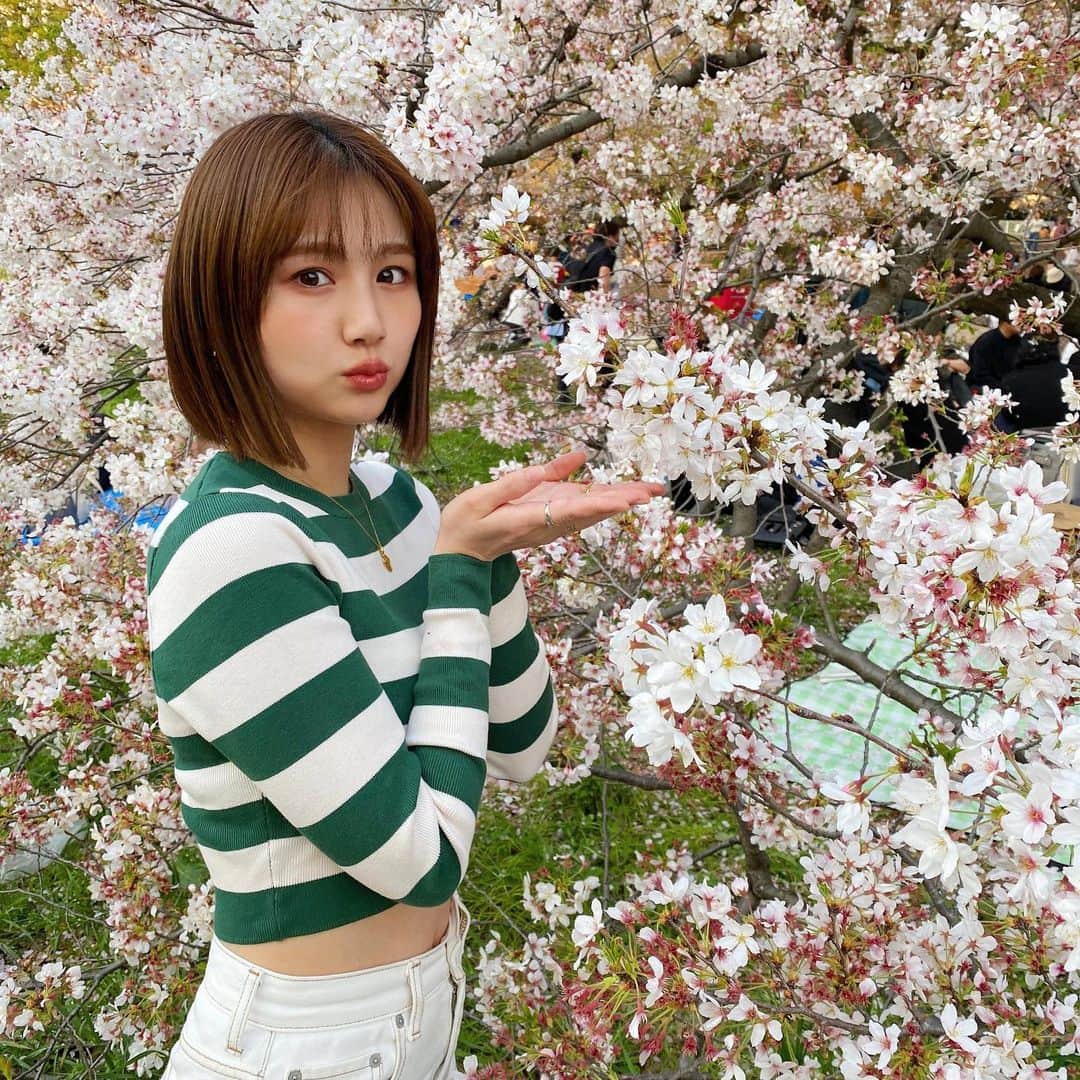 櫻井紗季さんのインスタグラム写真 - (櫻井紗季Instagram)「みんなでお花見🍡 この時期は毎年何かとバタバタしてしまって 桜を堪能することができなかったので、 今年は計画的にと！実行できました☺️🌸  幸せな愛おしい時間。 こういう時間が当たり前じゃなかったからこそ 今大事にできているなと感じます。  昨日で上京して10年になりました🌷 東京で出会ってくれた皆さん、 いつでも帰ってきなよと待っていてくれる地元の皆に 感謝しかないです。 応援してくれる皆、いつも有難う！」4月3日 20時47分 - saki_sakurai_official
