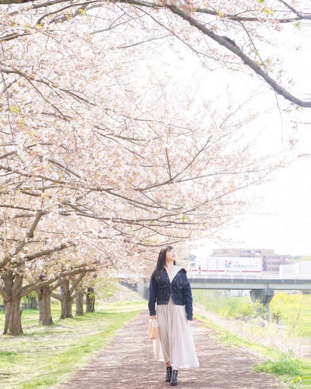 植草歩さんのインスタグラム写真 - (植草歩Instagram)「もう葉桜になってしまってた🌸  📸 @amour_photo__」4月3日 20時48分 - ayayumin0725