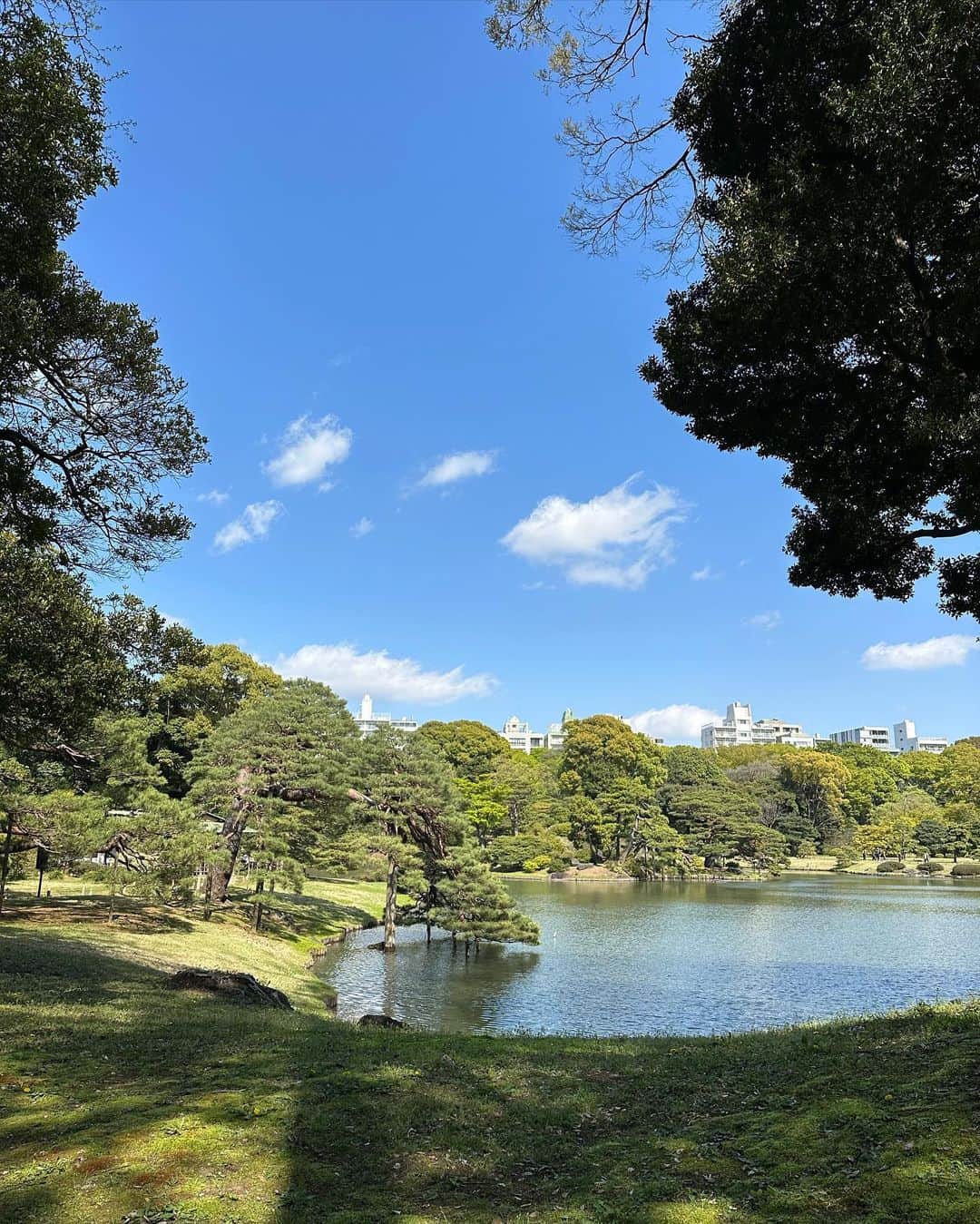 miho uesugiさんのインスタグラム写真 - (miho uesugiInstagram)「なぜか行ったことのなかった六義園🌳  入園してすぐに広がるダイナミックな日本庭園…！！最高でした…！！癒しを求めるみなさまに全力でお勧めします。  ボリュームティアードキャミドレスは、サイズ0を心待ちにしていてブラックを購入✨ この張り感とボリュームがたまらない☺️ 写真2枚目、なぜか身長170cmくらいに見えますが無加工です。。  ㅤㅤㅤㅤㅤㅤㅤㅤㅤㅤㅤㅤㅤ  #Kastane#Kastane舞浜#Kastane_ootd#骨格ウェーブ#イエベ春#コーディネート#今日のコーデ#コーデ#大人カジュアル#カジュアル#ロングヘア#オン眉#camper#30代ファッション#30代コーデ#カスタネ#低身長#低身長コーデ#春#春コーデ#ワンピース#ブラック#ブラックコーデ#ローファー#デニム#六義園#休日#休日の過ごし方#散歩#Kastane_onepiece」4月3日 21時00分 - uepoooning