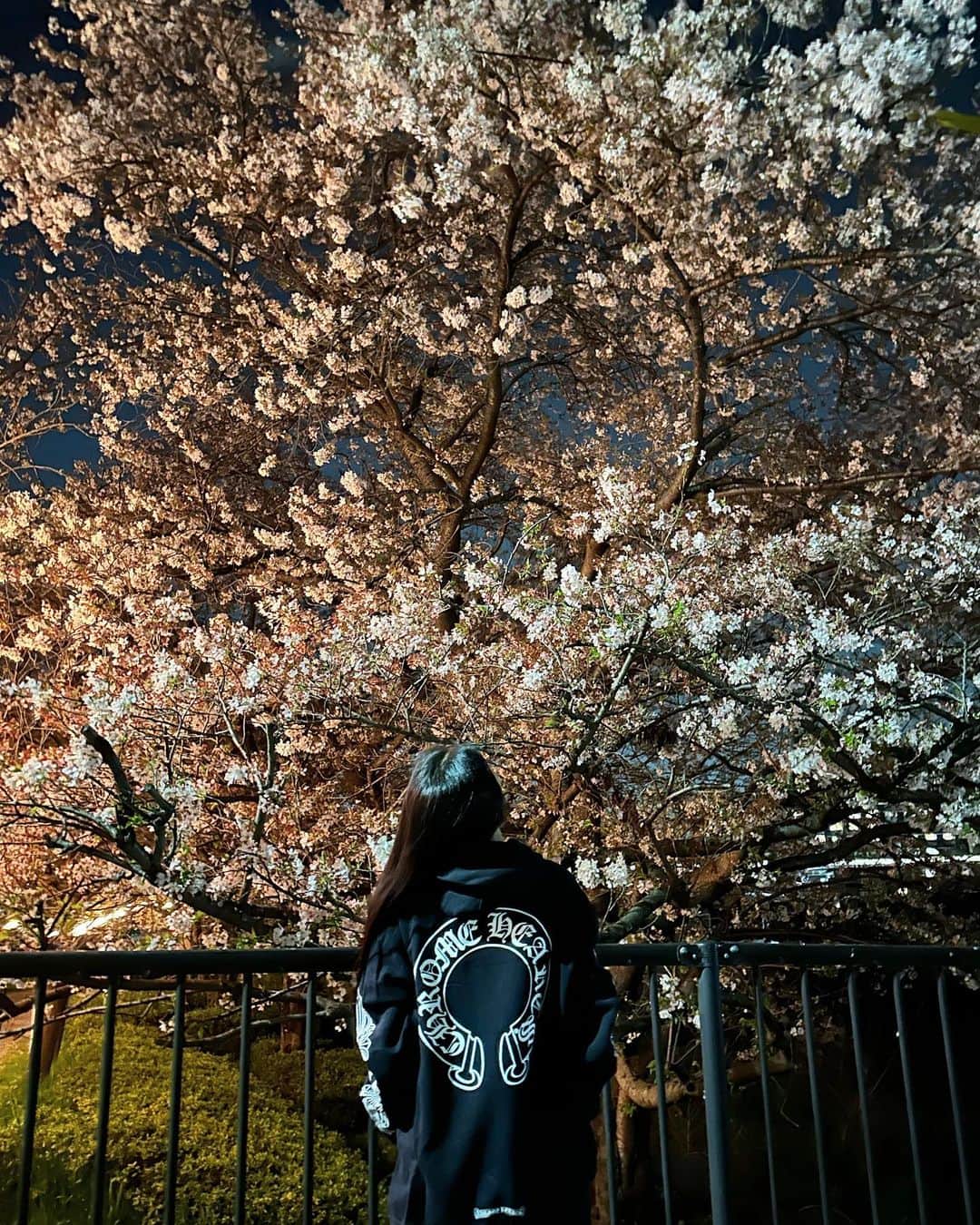 十枝梨菜さんのインスタグラム写真 - (十枝梨菜Instagram)「夜桜date with my dad 🌸🌙 he is the BEST 🩷」4月3日 20時59分 - rinatoeda0611