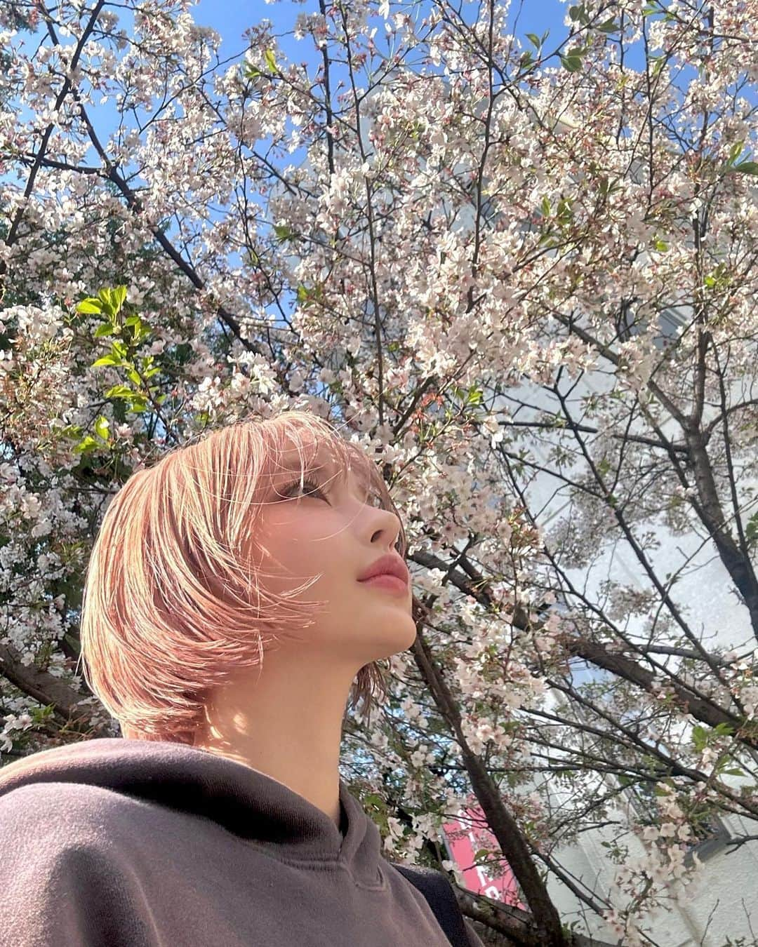 カン・テリさんのインスタグラム写真 - (カン・テリInstagram)「さくら🌸」4月3日 21時09分 - taeri__taeri