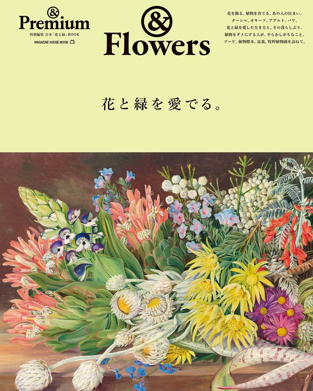 &Premium [&Premium] magazine.のインスタグラム
